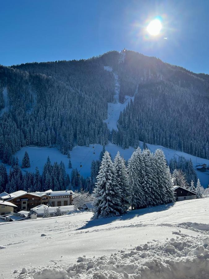 דירות לה וילה Surrounded By Green - Luxury Chalet At The Foot Of The Dolomites מראה חיצוני תמונה